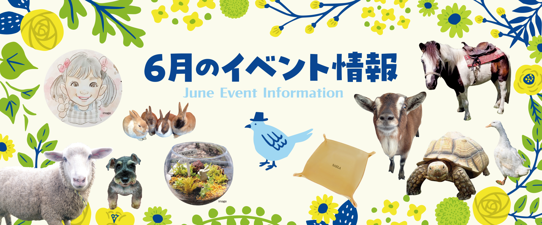 サエラ6月のイベント一覧