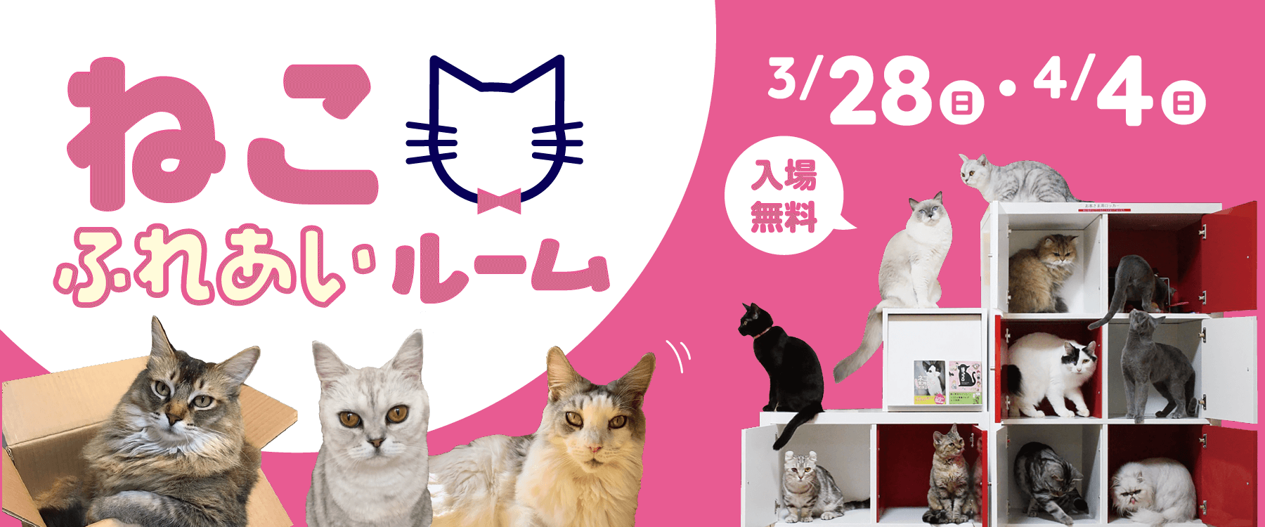 ねこふれあいルームinサエラ