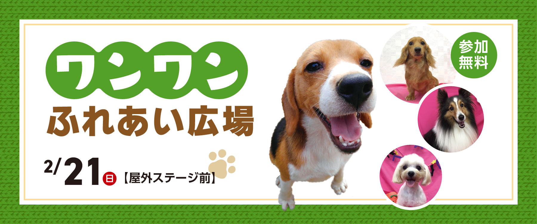 ワンワンふれあい広場