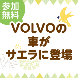 画像：11月6日（土）、7日（日）VOLVOの車がサエラに登場