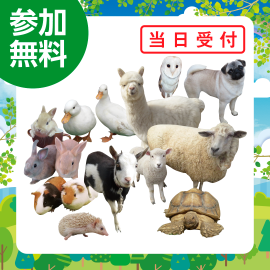 画像：5月7日（日）ふれあい動物園inサエラ