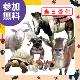 画像：10月15日（日）ポニー乗馬&ふれあい動物園