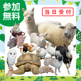 画像：5月6日(月)ふれあい動物園inサエラ