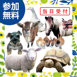 画像：6月8(日)ポニー乗馬＆ふれあい動物園inサエラ