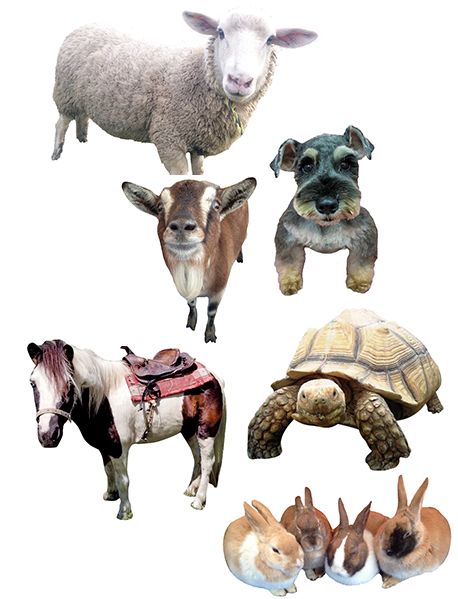 ふれあい動物園inサエラ