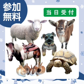画像：2月8日(日)ポニー乗馬＆ふれあい動物園inサエラ